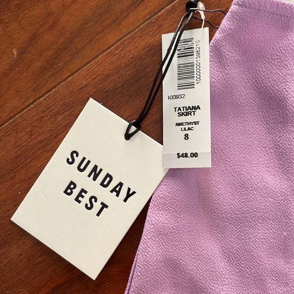 NWT Aritzia Sunday Best skirt - Picture 2 of 8